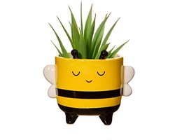 Mini Bijen Plantenbak voor Kleine Planten