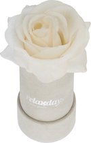 Relaxdays flowerbox - rozenbox - grijs - decoratie - kunstbloem - 1 roos in box - wit