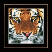 borduurpakket PN0156010 tijger close-up