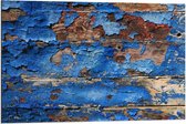 Dibond - Blauw Schors - 90x60cm Foto op Aluminium (Wanddecoratie van metaal)