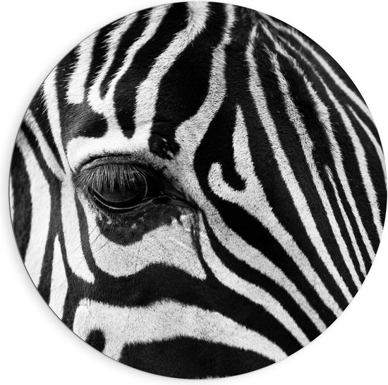 Dibond Wandcirkel - Oog van Zebra - 90x90cm Foto op Aluminium Wandcirkel (met ophangsysteem)