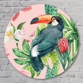 Muurcirkel ⌀ 100 cm - Tucan in Pink - Aluminium Dibond - Dieren - Rond Schilderij - Wandcirkel - Wanddecoratie