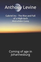 Gabriel Inc - The Rise and Fall of a High-tech Motorbike Gang