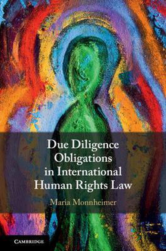 Due Diligence Obligations in International Human Rights Law - cover