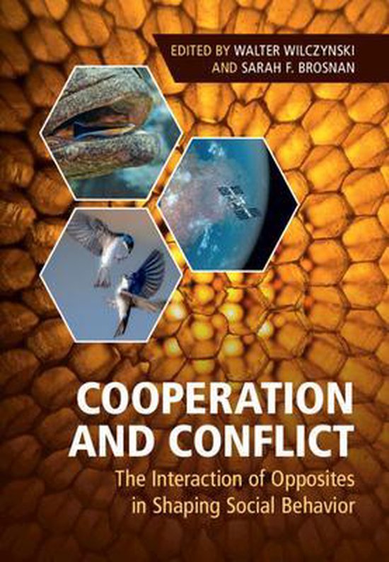 Boek cover Cooperation and Conflict van  (Hardcover)