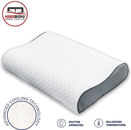 OREILLER DE LUXE en bambou Queen 50x76cm Herzberg HG5076BM-blanc EUR 22