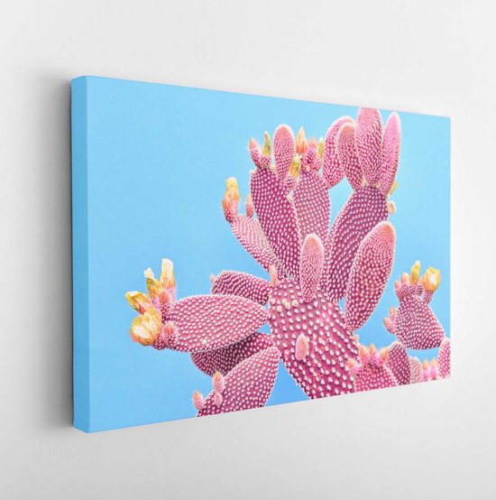 Opnemen bom solidariteit Fashion Cactus Coral colored on pastel Blue background. Trendy tropical  cacti plant... | bol.com
