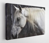 Onlinecanvas - Schilderij - Animal Equine Head Horse Art Horizontal Horizontal - Multicolor - 30 X 40 Cm