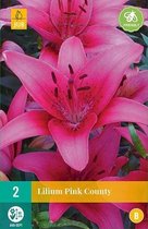 2 Lilium Pink County