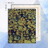 Schilderen op nummer pakket Tree of life 40 x 50 cm  - met frame