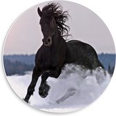 Forex Wandcirkel - Galopperend Zwart Paard in de Sneeuw - 30x30cm Foto op Wandcirkel (met ophangsysteem)