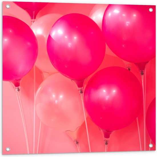 Tuinposter – Roze Ballonnen - 80x80cm Foto op Tuinposter  (wanddecoratie voor buiten en binnen)