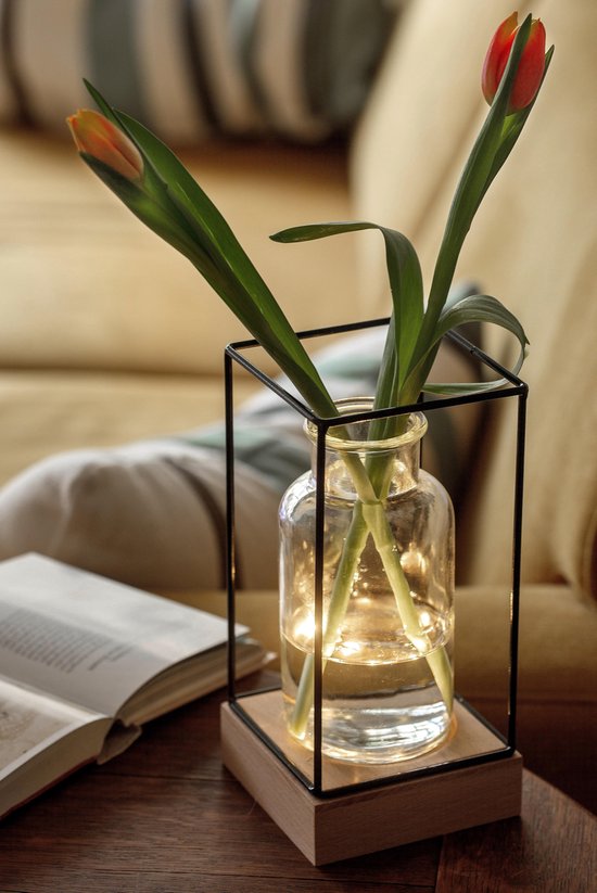 Xaptovi Vaaslamp met LED verlichting - Vaas – Leuk Cadeau Houten basis, glazen  vaas... | bol.com