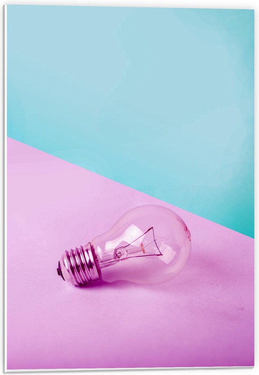 Forex - Gloeilamp Roze/Blauwe Achtergrond - 40x60cm Foto op Forex