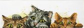 Borduurpakket Curious Kittens voorbedrukt - Needleart World