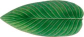 Costa Nova Riviera - servies - schaaltje blad - lichtgroen - aardewerk - H 3,6 cm