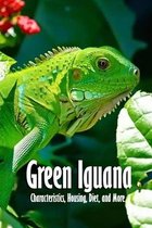 Green Iguana: Characteristics, Housing, Diet, and More