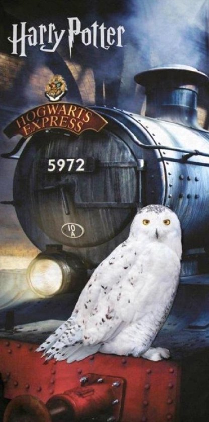 Harry Potter strandlaken Hogwarts Express