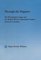 Literary Criticism and Cultural Theory - Through the Negative