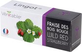Véritable® Lingot® Red wild strawberry -  RODE WILDE AARDBEI navulling voor alle Véritable® binnenmoestuin-toestellen