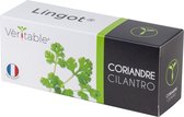 Véritable® Lingot® Organic Coriander - BIO KORIANDER navulling voor alle Véritable® binnenmoestuin-toestellen