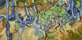Vincent van Gogh, Boomwortels, 1890 op canvas, afmetingen van dit schilderij zijn 75 X 100 CM