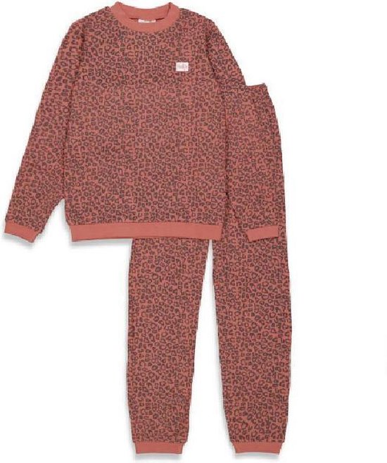 Feetje volwassen pyjama - Terra Pink Fashion - Maat L | bol.com