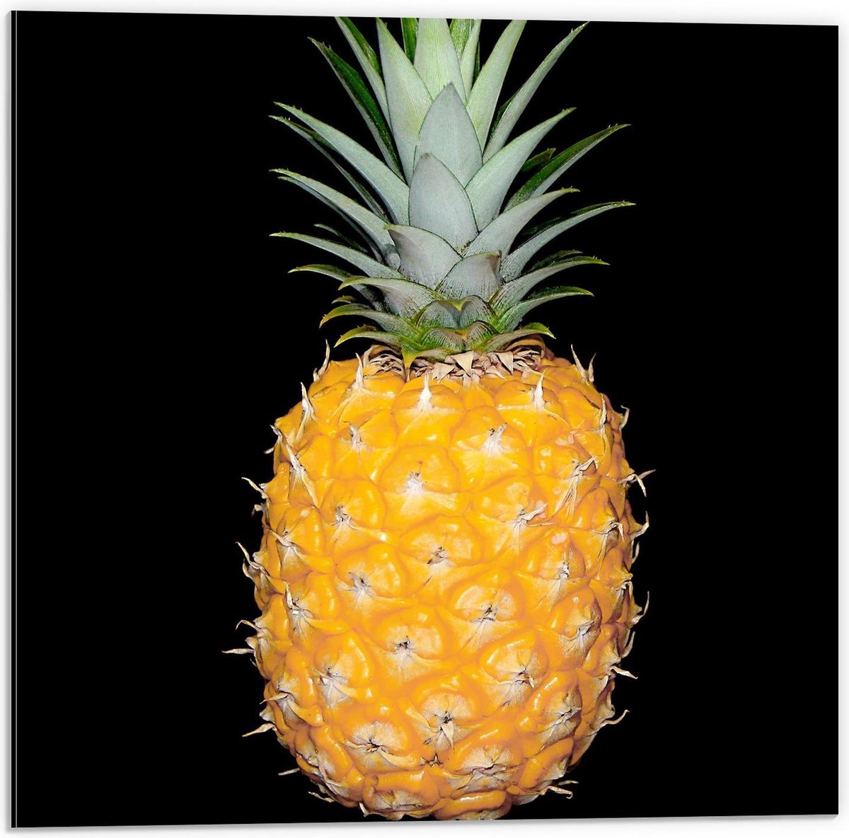 Dibond - Ananas met een Zwarte Achtergrond - 50x50cm Foto op Aluminium (Met Ophangsysteem)