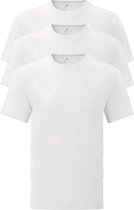 Heren T-shirt 3 stuks L