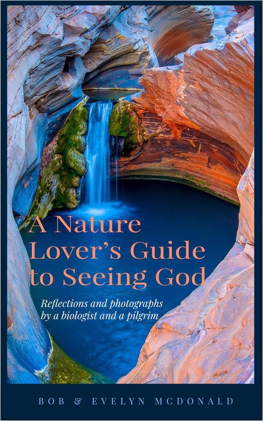 A Nature Lover's Guide to Seeing God - cover