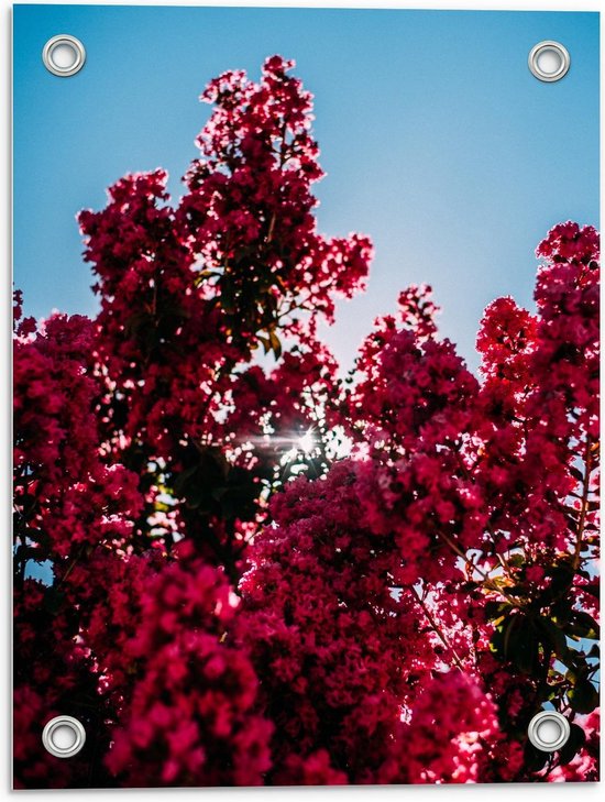 Tuinposter – Roze Bloesem met een Blauwe Lucht - 30x40cm Foto op Tuinposter  (wanddecoratie voor buiten en binnen)