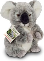 Hermann Teddy Knuffel Koala Buidelbeer