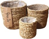 Set/3 - Rotan mandjes - Gina Da