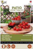Buzzy® Patio Vegetables, Tomaat Gourmandise Red