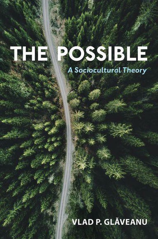 The Possible - cover