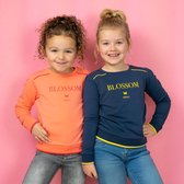 Sweater Blossom melon