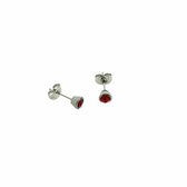Aramat jewels ® - Oorbellen rood kristal chirurgisch staal zilverkleurig 5mm dames kinderen