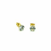 Aramat jewels ® - Zirkonia zweerknopjes transparant goudkleurig chirurgisch staal 7mm