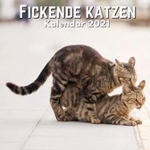 Fickende Katzen