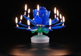 Verjaardagkaarsjes - Blauw - 14 Kaarsen - Versiering – Geboorte - Huwelijk – Feest – Verjaardag – Kind - Taartdecoratie - kaars - Kaarsen
