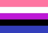 Vlag - Sticker - Gender Fluid vlag - Regenboog - Gay - LGBT - genderfluid