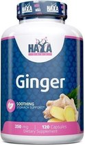 Ginger Haya Labs 120v-caps