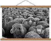 Schoolplaat – Kudde Schapen (Zwart Wit) - 60x40cm Foto op Textielposter (Wanddecoratie op Schoolplaat)