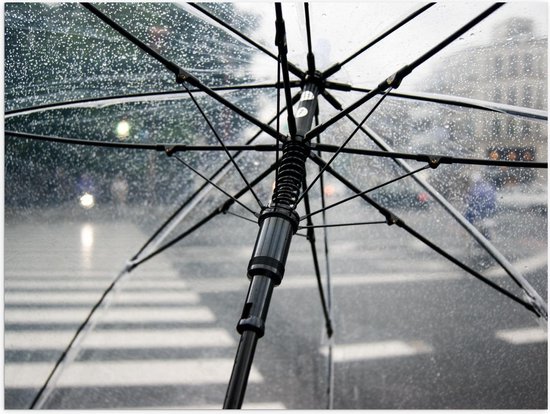 Poster – Doorzichtige Paraplu in de Regen - 40x30cm Foto op Posterpapier