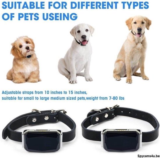 GPS Tracker Huisdier hond/kat zonder abonnement/ werkt op