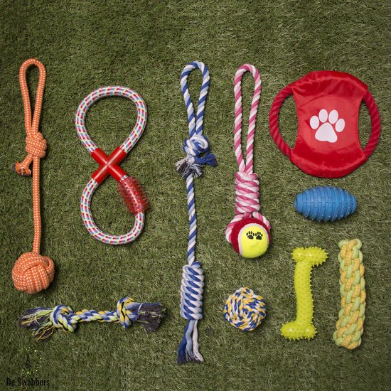 Hondenspeeltjes – 10 stuks set – Honden speelgoed en Puppy