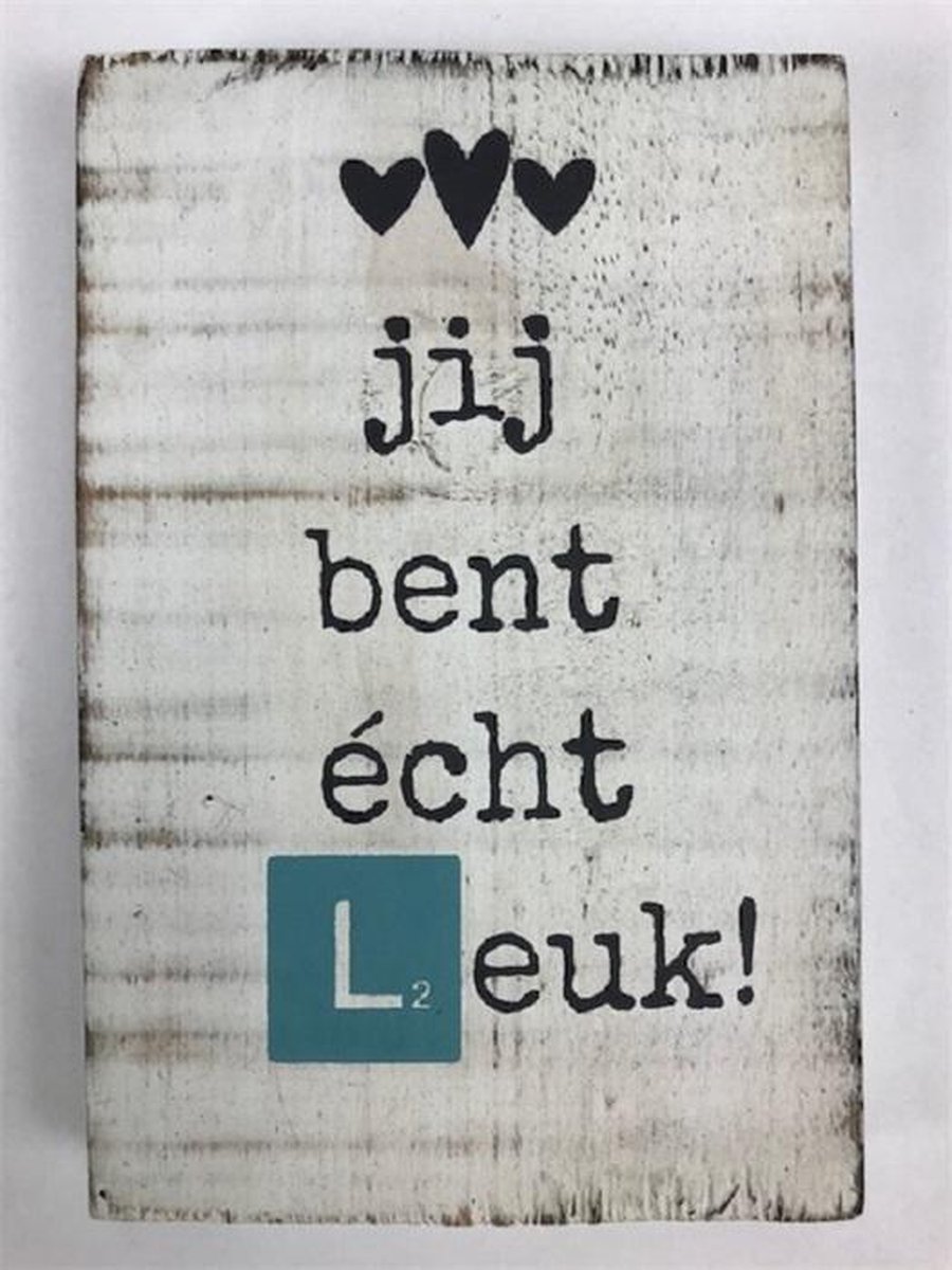 Tekstblok 10x15 2 cm dik Echt Leuk