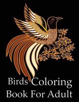 Birds Coloring Book For Adult