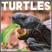 Turtles Calendar 2021