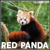 Red Panda Calendar 2021